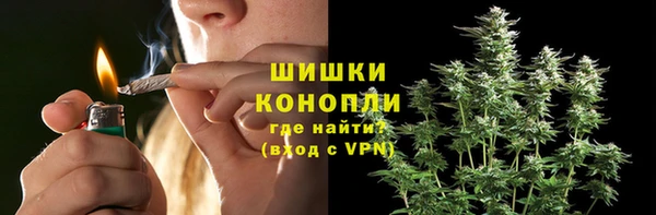 МДПВ Новокубанск