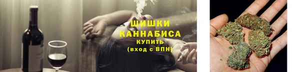 МДПВ Новокубанск