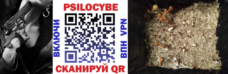 Галлюциногенные грибы Psilocybine cubensis  закладка  Норильск 