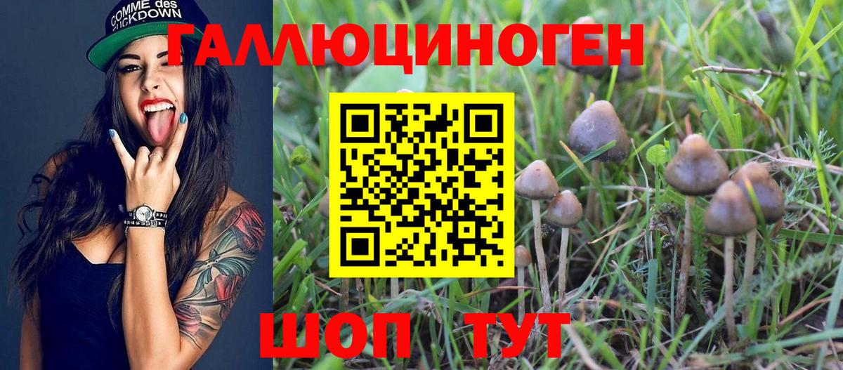 где продают   Вход с VPN  Норильск  Галлюциногенные грибы Magic Shrooms 
